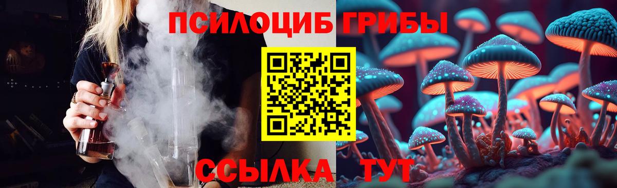 Псилоцибиновые грибы MAGIC MUSHROOMS  Вход с VPN  Псилоцибиновые грибы Psilocybine cubensis  купить наркотики сайты  Орехово-Зуево 